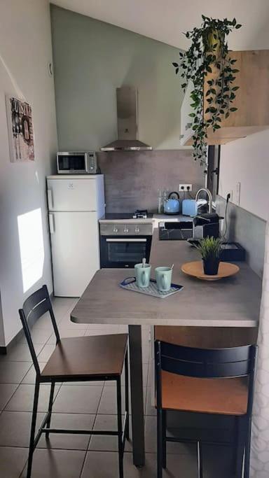 Toulouse Charmant T3 Ponts Jumeaux Avec Terrasse Exterior foto